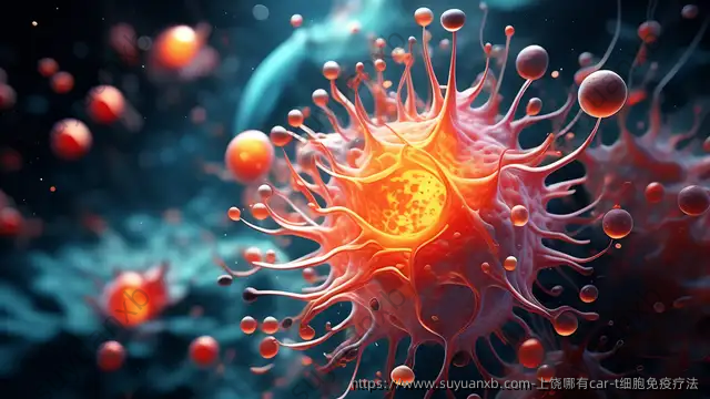 上饶哪有car-t细胞免疫疗法