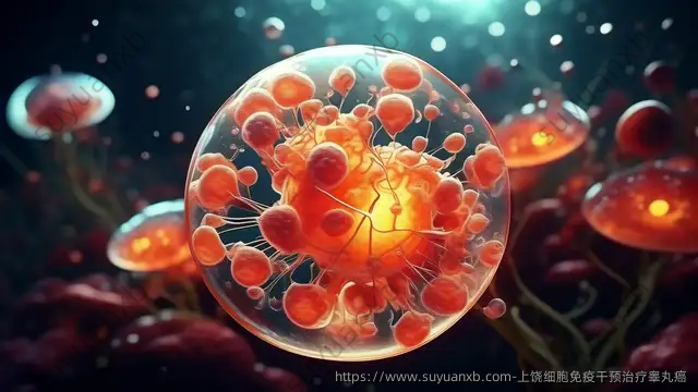 上饶细胞免疫干预治疗睾丸癌