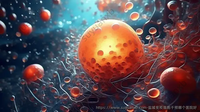 盐城免疫细胞干预哪个医院好