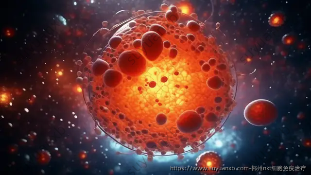 郴州nkt细胞免疫治疗