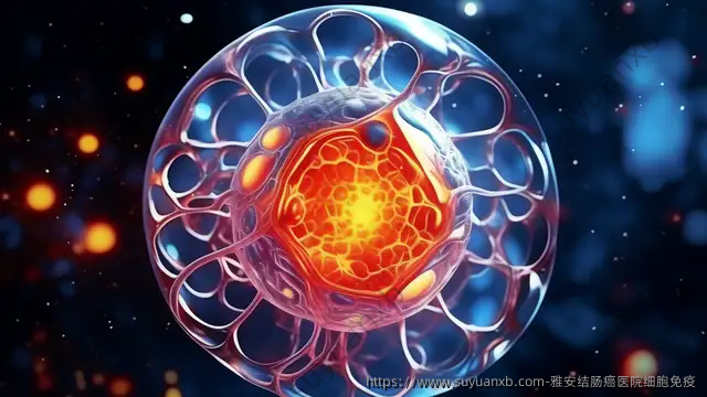 雅安结肠癌医院细胞免疫