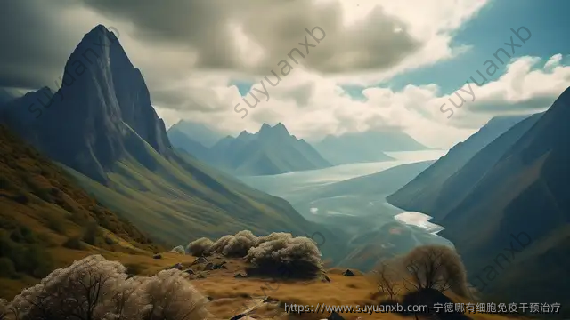 宁德哪有细胞免疫干预治疗