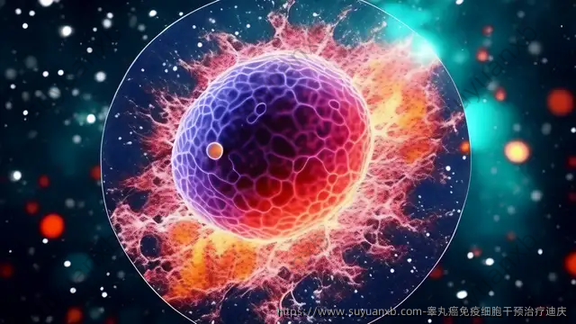 睾丸癌免疫细胞干预治疗迪庆